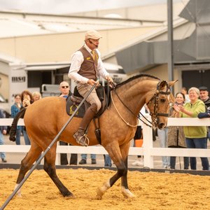 Reistsportmesse 2025