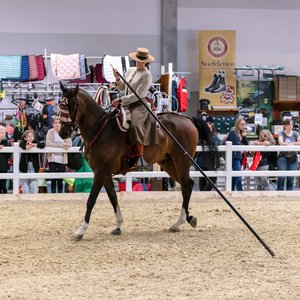 Reitsportmesse Gießen 2022, Messeimpression