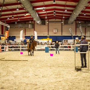 Reitsportmesse 2025, Messeimpression
