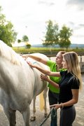 Neuer Standard in der Sattelanpassung