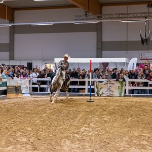 Reitsportmesse Gießen 2024, Messeimpression