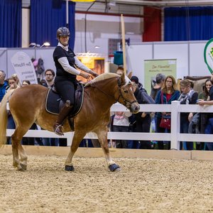 Reitsportmesse Gießen 2023, Messeimpression