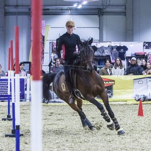 Reitsportmesse Gießen 2022, Messeimpression
