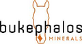Ausstellerlogo - Bukephalos Minerals GmbH