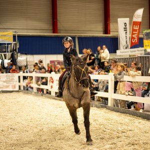 Reitsportmesse 2025, Messeimpression