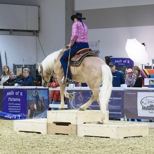 Reitsportmesse Gießen 2022, Messeimpression