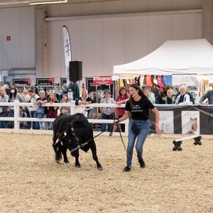 Reitsportmesse Gießen 2022, Messeimpression