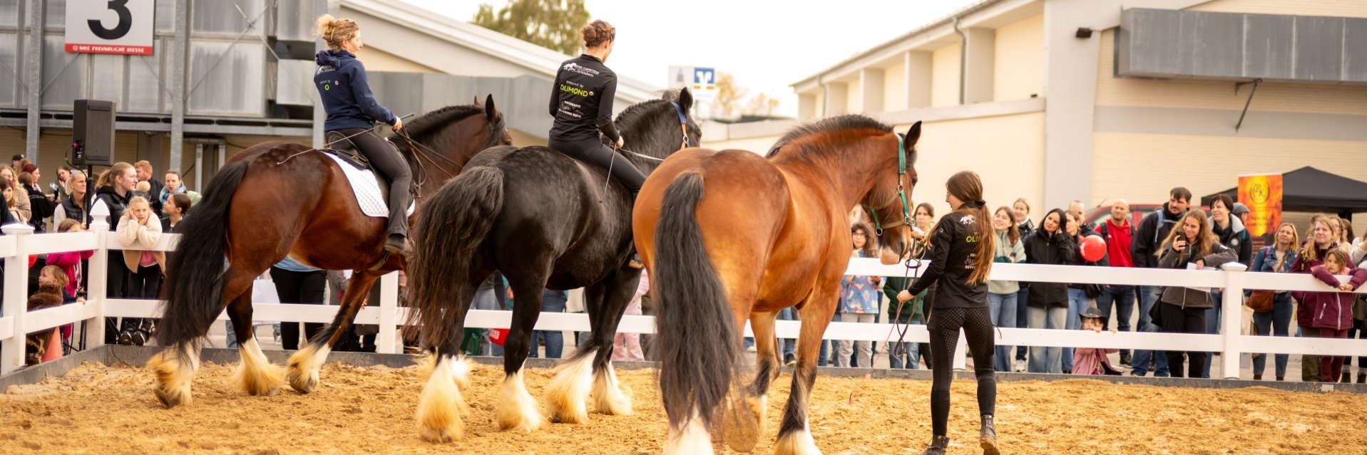 Reitsportmesse Giessen